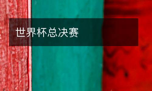 世界杯總決賽